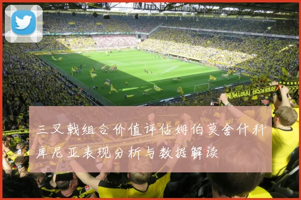 三叉戟组合价值评估姆伯莫舍什科库尼亚表现分析与数据解读