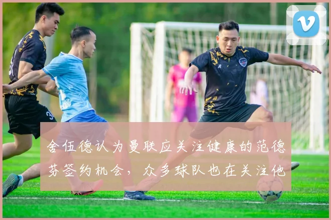 舍伍德认为曼联应关注健康的范德芬签约机会，众多球队也在关注他